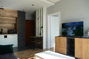 Apartment Sosnowiec City - FREE PARKING - easy check-in